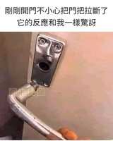 https://images.plurk.com/4fbD4AKIZxxdyZAZQ8T6iQ.jpg