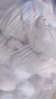 https://images.plurk.com/4fm0Flt30DP3ml0bXRvKJj.jpg
