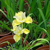 https://images.plurk.com/4ftba5B79mCyyrf56hmHRZ.jpg