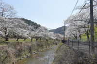 https://images.plurk.com/4fuzkDBTP9xwOKpR90HKjP.jpg