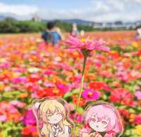 https://images.plurk.com/4fvQlfRbu8mDS79UsbgICK.jpg
