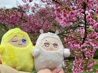 https://images.plurk.com/4g17ltSKTibLlBHQMCseH3.jpg