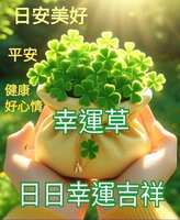 https://images.plurk.com/4g2O8hMynGo9A5rgJ9PPUF.jpg