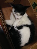 https://images.plurk.com/4g6OBExjV4rfmzMiAKb08H.jpg