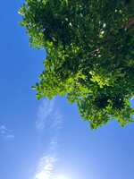 https://images.plurk.com/4g7gRSRmxRE1hqPLBBfOzp.jpg
