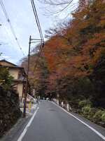 https://images.plurk.com/4gAiaCQen9A7eNcsbgsfRl.jpg