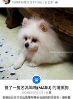 https://images.plurk.com/4gEO2Eh1qu2sdP4CK3aTBI.jpg