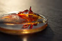 https://images.plurk.com/4gKQqBXLnrw48BC1hxyR58.jpg