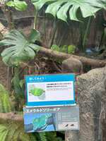 https://images.plurk.com/4gPBhSMG0ojd9Szh6JSbny.jpg