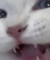 https://images.plurk.com/4gZiogZ44RnUdNPI4rkYSi.jpg