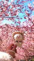 https://images.plurk.com/4gbga44q80WON6P9oxGqjC.jpg