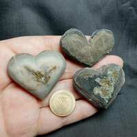 https://images.plurk.com/4geO0jb2zABJAtyj6QGi3S.jpg