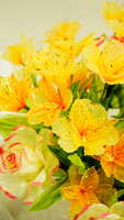 https://images.plurk.com/4ggkg1h1rDunQeBJ0sut7r.jpg