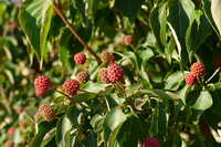 https://images.plurk.com/4gj34PCM9uVqqx01hkCxRm.jpg