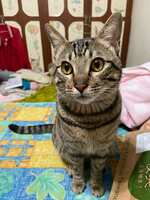 https://images.plurk.com/4goTrbfsipXr6LKjcq1WPN.jpg