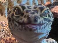 https://images.plurk.com/4grNyF4okySwQoMHFA07ZX.jpg