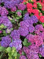 https://images.plurk.com/4gwXdTTGETpzMnnE0DVFut.jpg