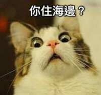 https://images.plurk.com/4h2aHPEqRJxNLG2rNtYQQ6.png