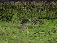 https://images.plurk.com/4h36xhC1MI8ErJeHUaRLQY.jpg