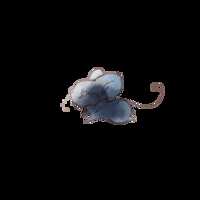 https://images.plurk.com/4h3iA9iEC7g7TXgtuhpQ7Q.png