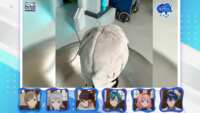 https://images.plurk.com/4h6P5X4wxD78wA3fydz1SQ.png