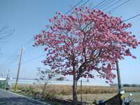 https://images.plurk.com/4h75B3P6tjwVPYjEhmyXoz.jpg