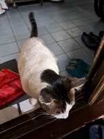 https://images.plurk.com/4hGIAsYskK0wIje4QDXWK8.jpg