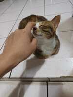 https://images.plurk.com/4hHcrd3MMCsJyCn6gQZ8xn.jpg
