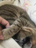 https://images.plurk.com/4hIePVjiNJVCCkD89u6UC.jpg