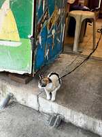 https://images.plurk.com/4hN024sBYmGkHrKbZyqdjK.jpg