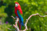 https://images.plurk.com/4hbeRfRKZIxGa5pCgcoOpQ.jpg
