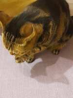 https://images.plurk.com/4hegShgQg6ZLIJ09hkS8O7.jpg