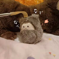 https://images.plurk.com/4hm1JWcq1RzgeeATu3d08T.jpg
