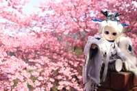 https://images.plurk.com/4hp2cXWFAysmxJmtu4IEZA.jpg