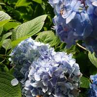 https://images.plurk.com/4hqEkKawt0f62hNgLmoyPg.jpg