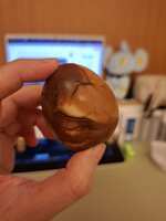 https://images.plurk.com/4httZ99Na8EW6wpTbzMi4m.jpg