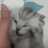 https://images.plurk.com/4hx4rn88pM6AJqj2L6U9M4.gif