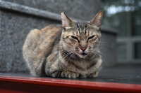 https://images.plurk.com/4hxX5P9xpgLoEYkaJRWPX6.jpg