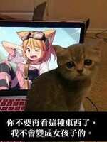 https://images.plurk.com/4hyFXb8cgpzahwKZuVmxMy.jpg
