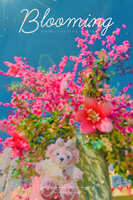 https://images.plurk.com/4i9ZyKua86or7E0yidLO5b.jpg