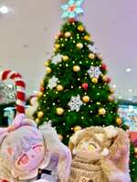 https://images.plurk.com/4iB8t0ByNVQkSnrbBgjgep.jpg