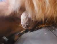 https://images.plurk.com/4iCsg2UH4ndnDGN5W93CEJ.jpg
