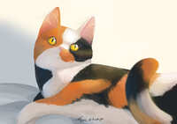 https://images.plurk.com/4iHsZEuUQQw39VEPPCM71K.jpg