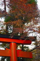 https://images.plurk.com/4iLOCNjCw7MPk7KrgaoFia.jpg