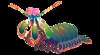 https://images.plurk.com/4iQHXmg9VC8GncZfGX2Njg.png