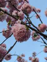 https://images.plurk.com/4iUbL2mVtuHhp4xhDLGV1H.jpg