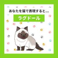 https://images.plurk.com/4iVMYq53txihVqG4KL5d2T.png