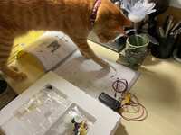 https://images.plurk.com/4iWHdL5Stb0AbR2ZUr8Cyz.jpg