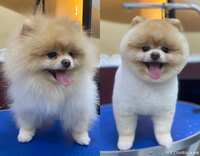 https://images.plurk.com/4icYKc3ETNN7TLtNRWbepi.png