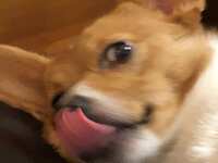 https://images.plurk.com/4id5f6N4pCsTNKSKYSYymb.jpg
